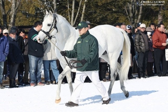 チチカステナンゴ3