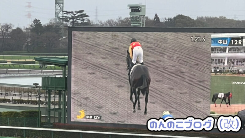 中山競馬場のマルチ画面ターフビジョンで中京競馬場を映している様子