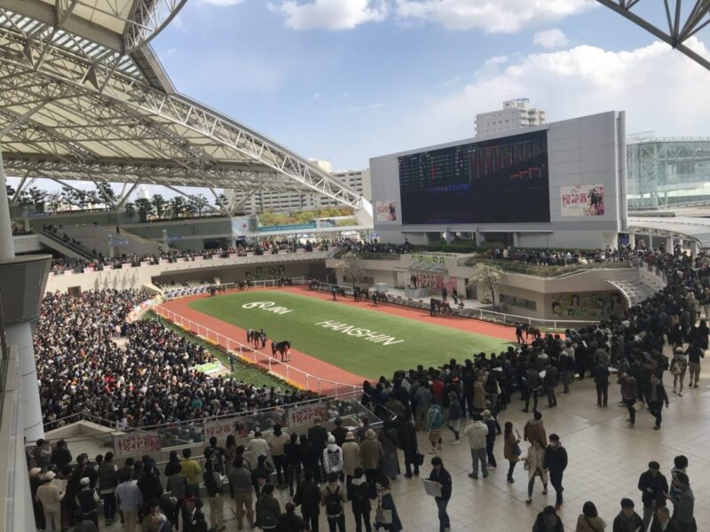 桜花賞の阪神競馬場